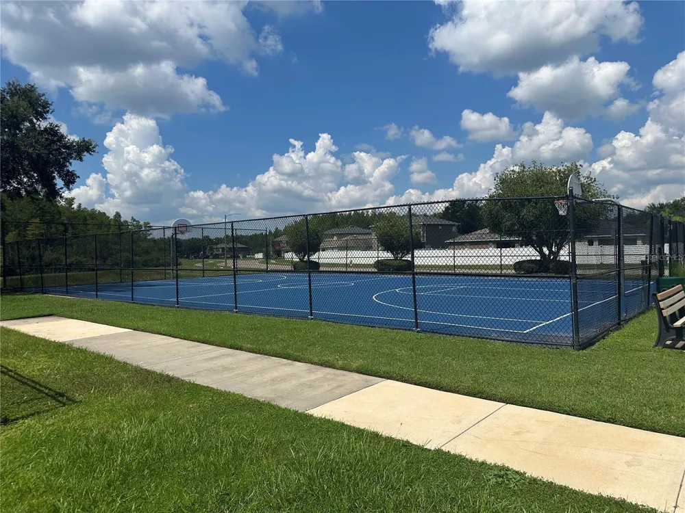 3145 DUNSTABLE DRIVE Land O Lakes, FL 34638