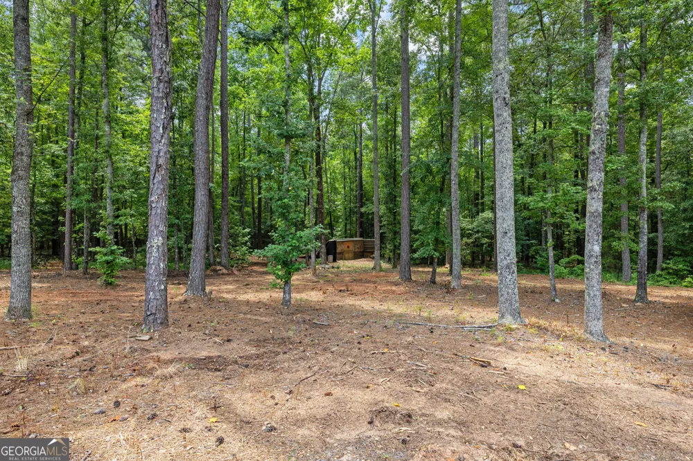 359 Trammell RD Moreland, GA 30259