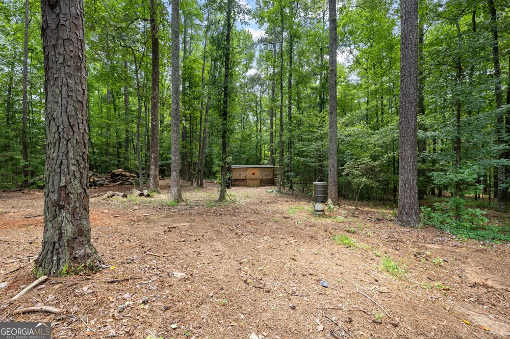 359 Trammell RD Moreland, GA 30259