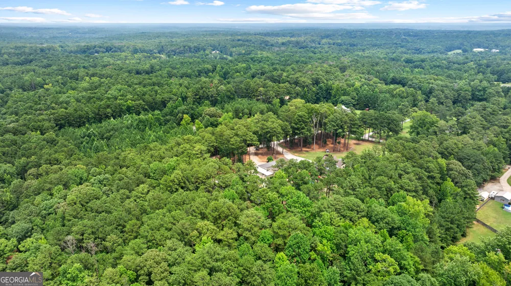 359 Trammell RD Moreland, GA 30259