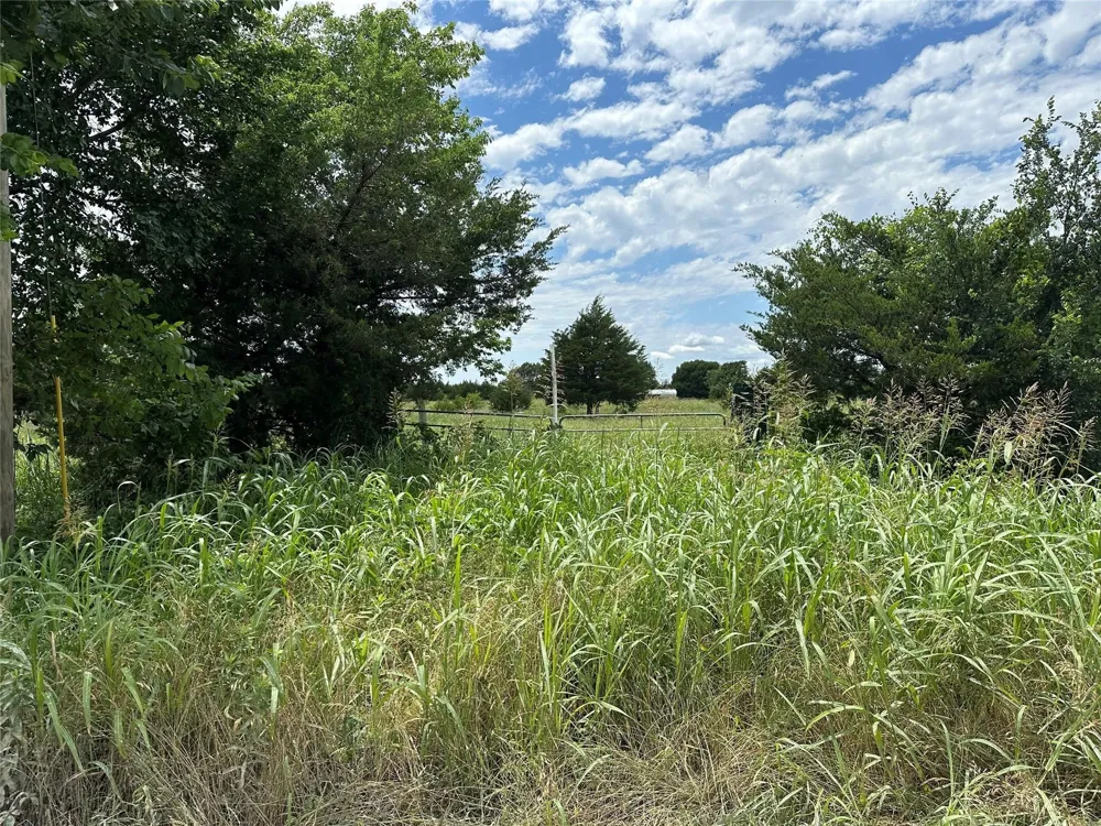 2641 Lemonade Lane Farmersville, TX 75442