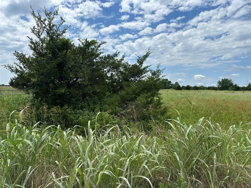 2641 Lemonade Lane Farmersville, TX 75442