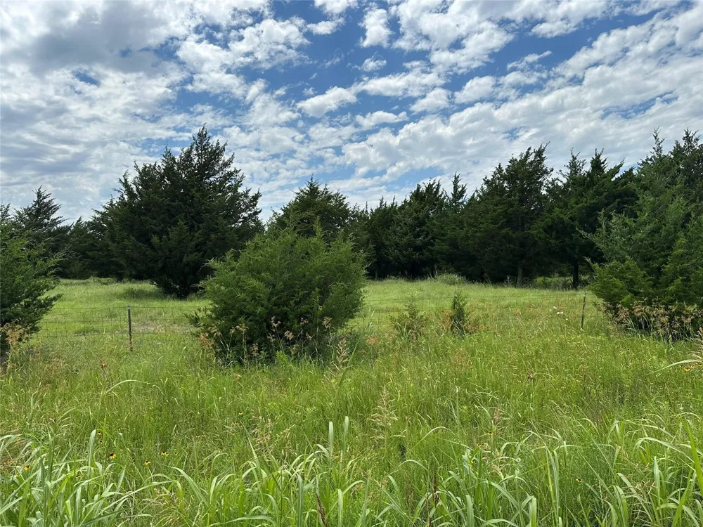 2641 Lemonade Lane Farmersville, TX 75442