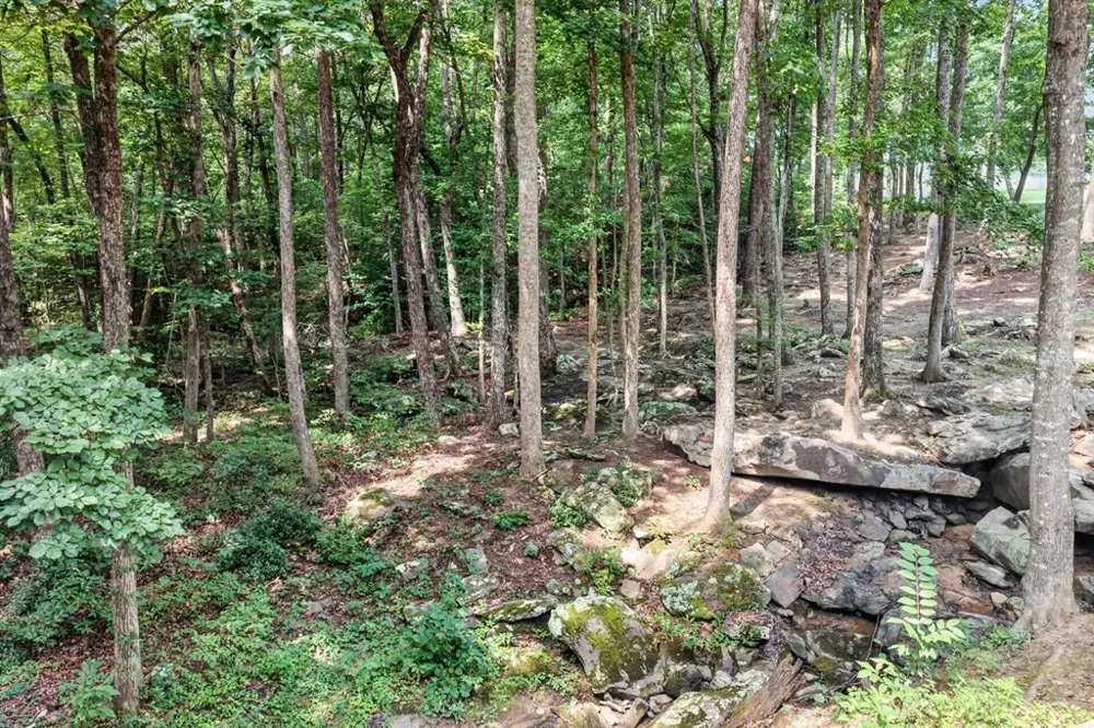 335 High Meadow Dr Spencer, TN 38585