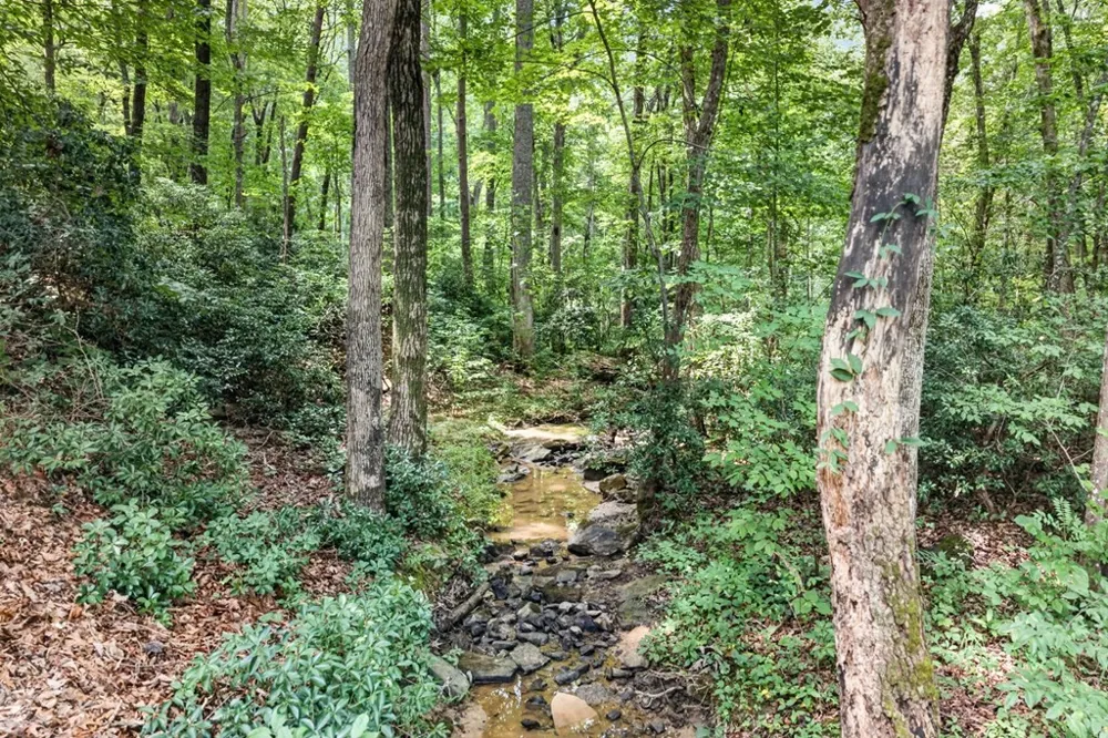 335 High Meadow Dr Spencer, TN 38585