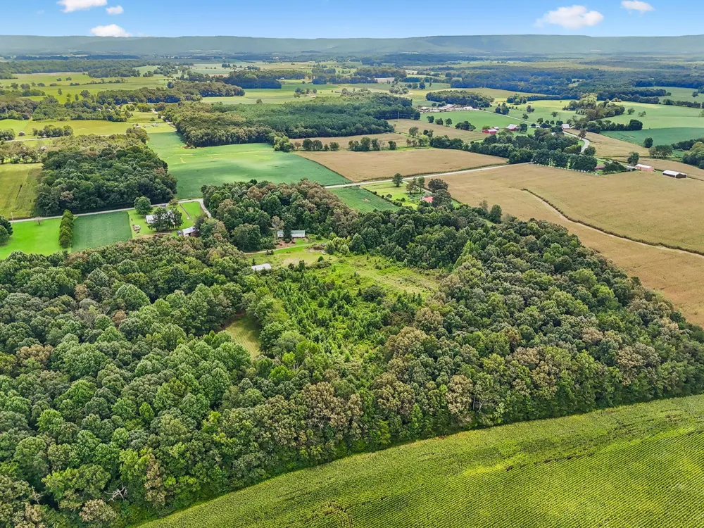 2010 Rock Rd Morrison, TN 37357