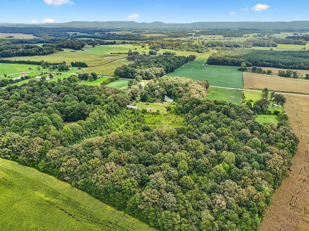 2010 Rock Rd Morrison, TN 37357