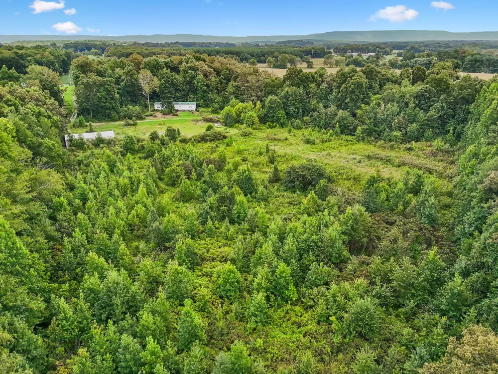 2010 Rock Rd Morrison, TN 37357