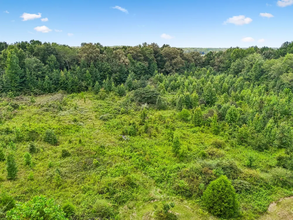 2010 Rock Rd Morrison, TN 37357