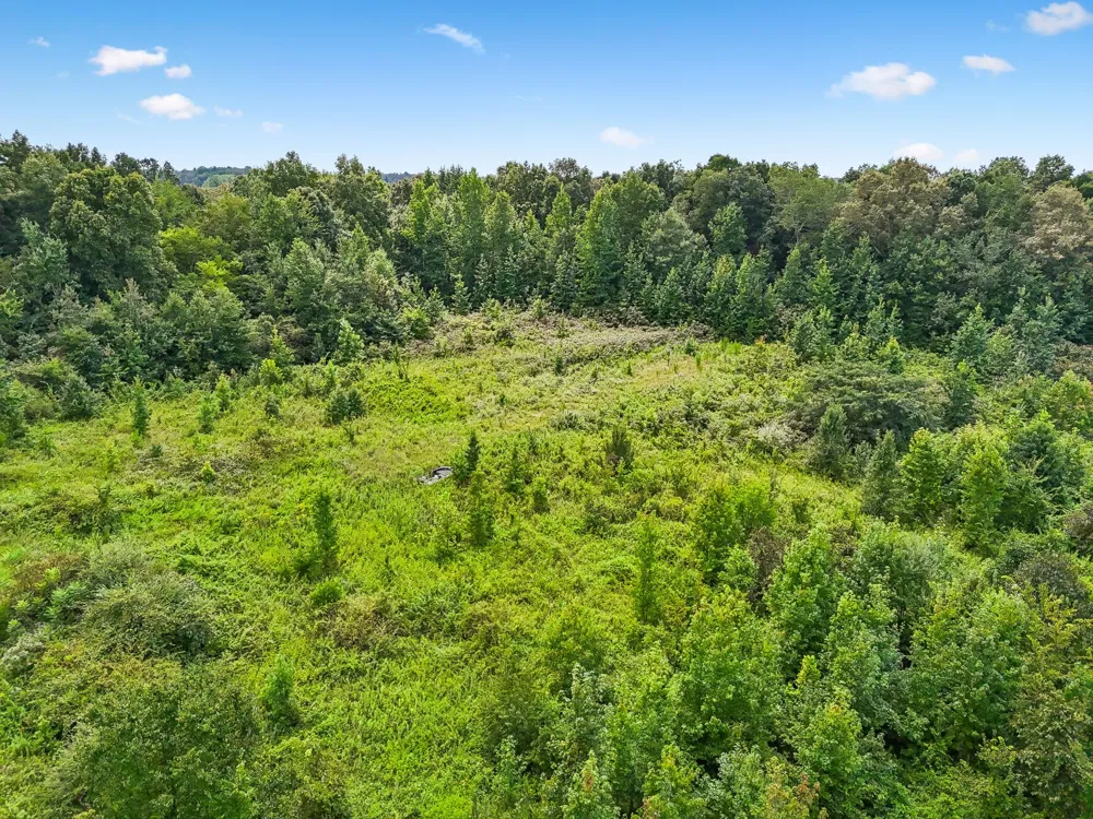 2010 Rock Rd Morrison, TN 37357