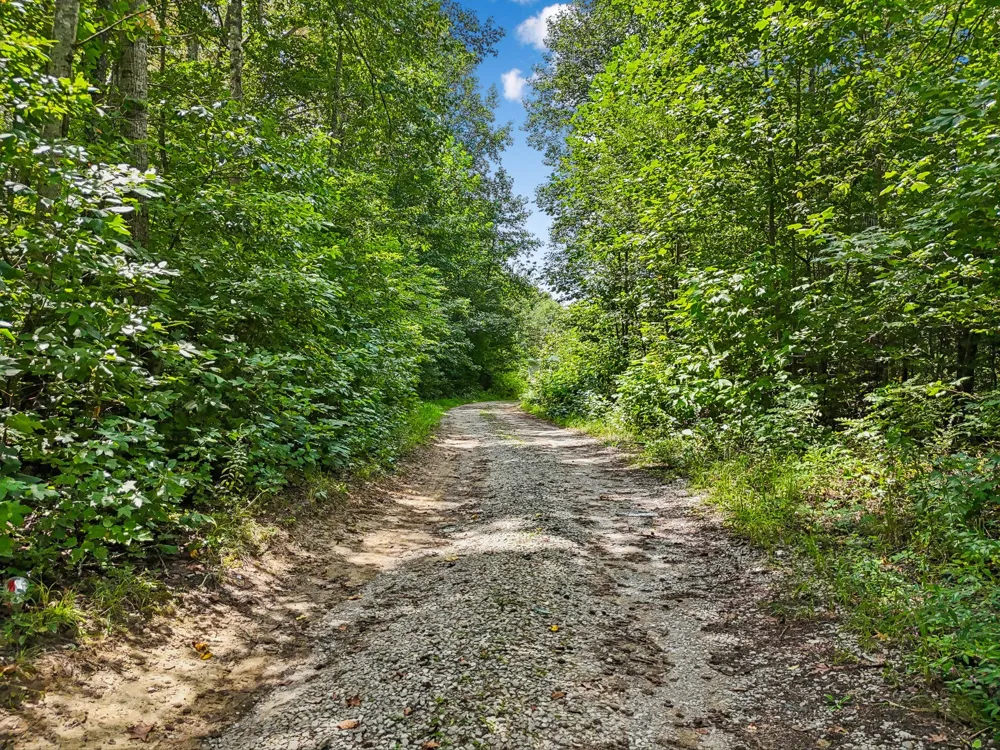 2010 Rock Rd Morrison, TN 37357