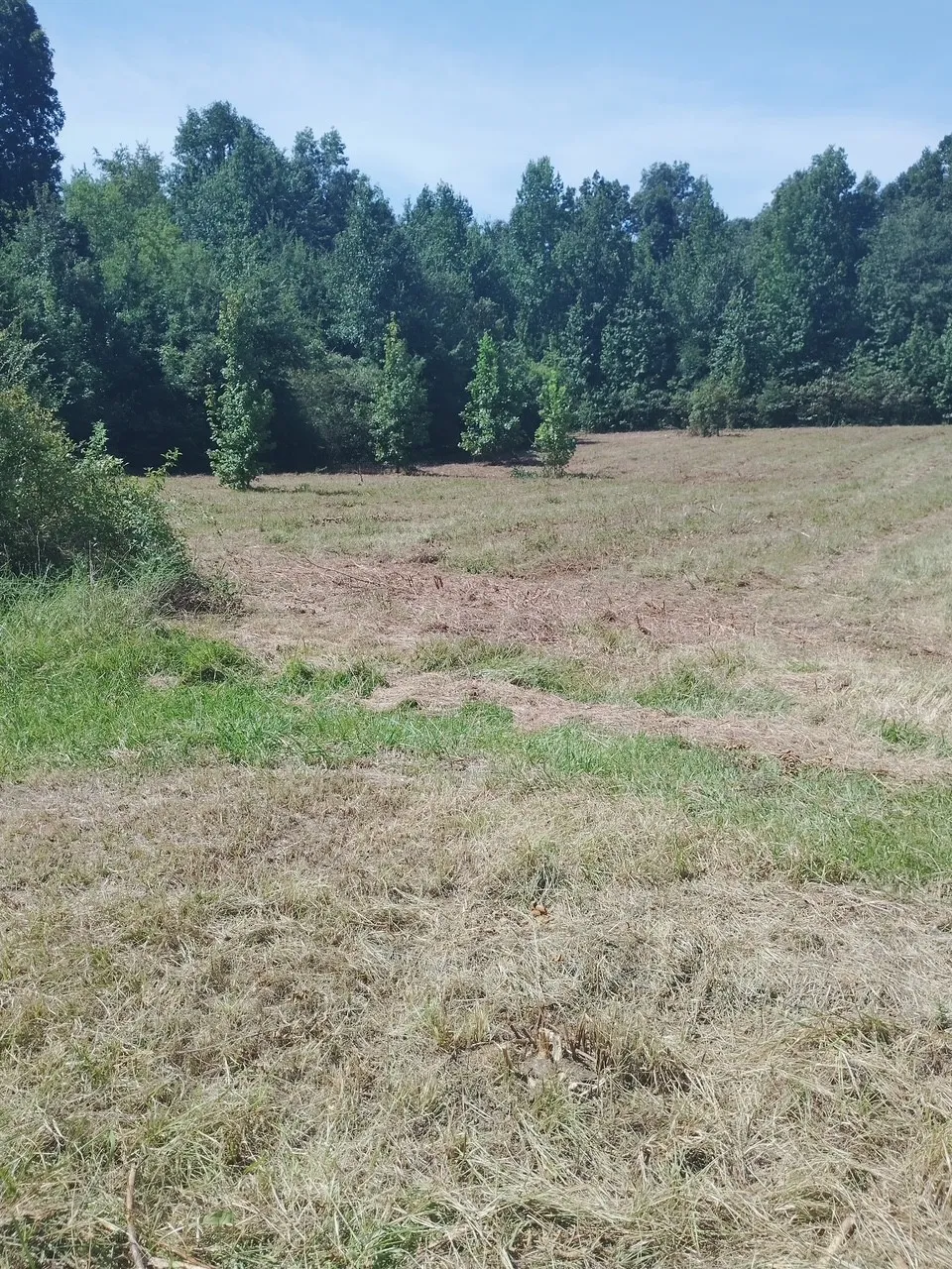 2010 Rock Rd Morrison, TN 37357