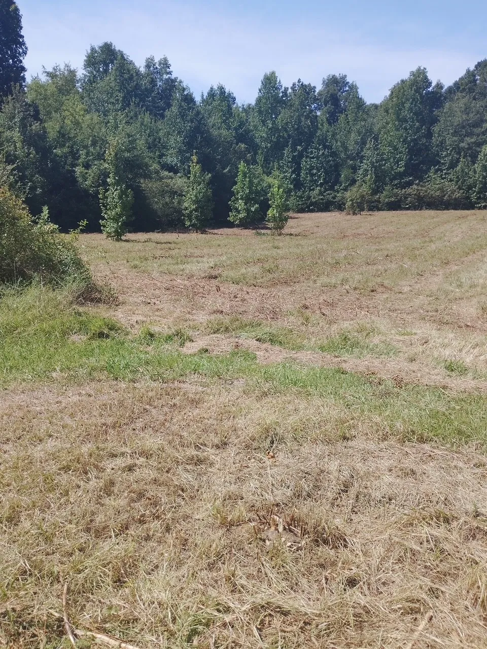 2010 Rock Rd Morrison, TN 37357