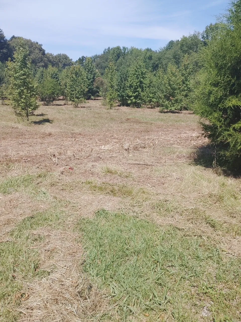2010 Rock Rd Morrison, TN 37357