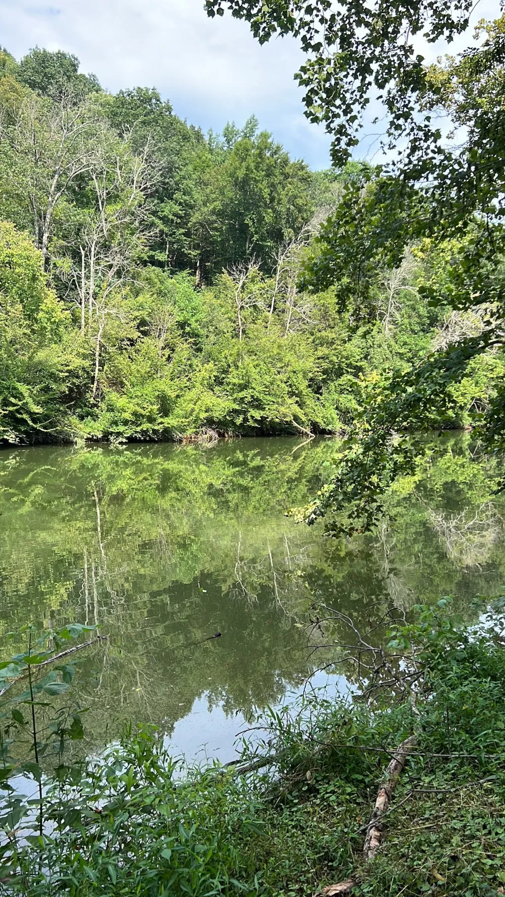 0 Hidden River Rd Rock Island, TN 38581