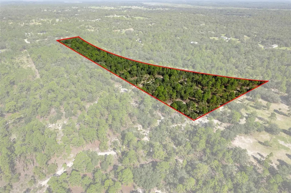 10806 STATUE POINT Dunnellon, FL 34433