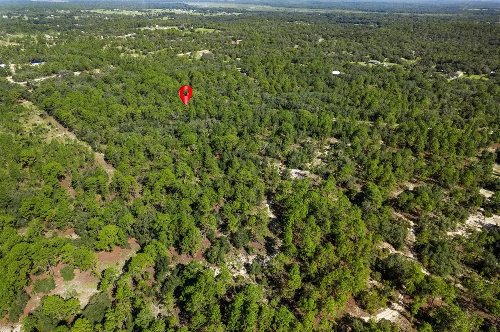 10806 STATUE POINT Dunnellon, FL 34433