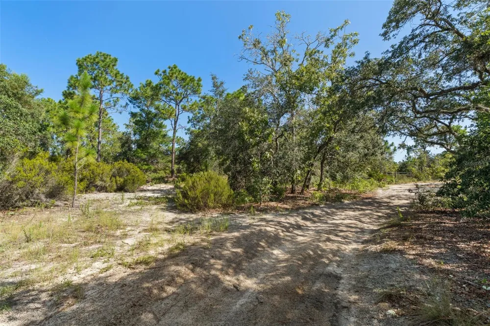 10806 STATUE POINT Dunnellon, FL 34433