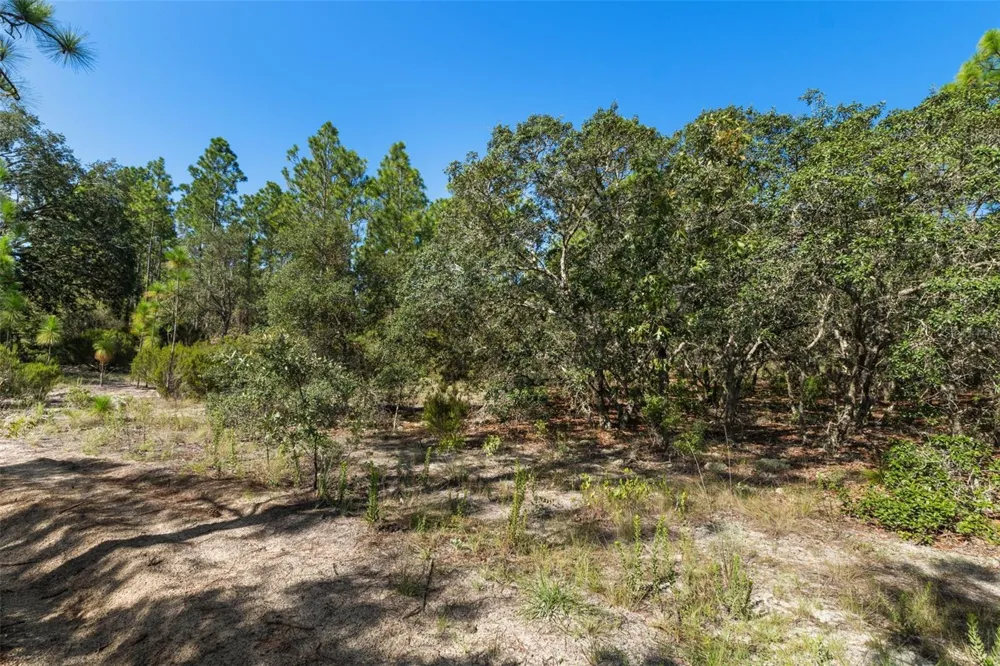 10806 STATUE POINT Dunnellon, FL 34433