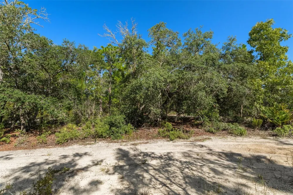 10806 STATUE POINT Dunnellon, FL 34433
