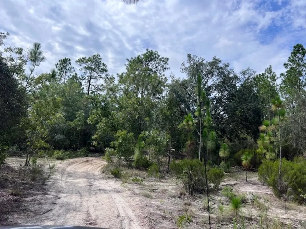 10806 STATUE POINT Dunnellon, FL 34433