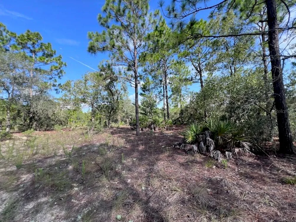 10806 STATUE POINT Dunnellon, FL 34433