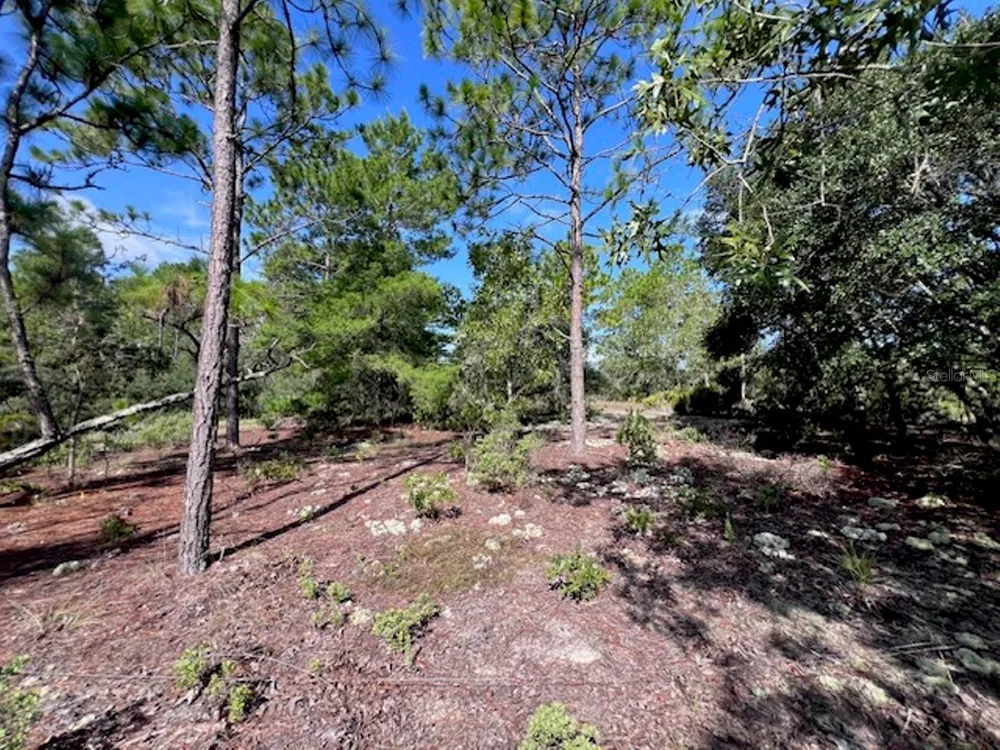 10806 STATUE POINT Dunnellon, FL 34433