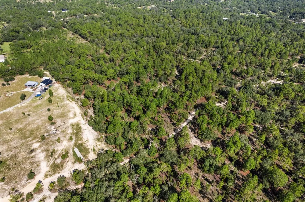 10686 STATUE POINT Dunnellon, FL 34433
