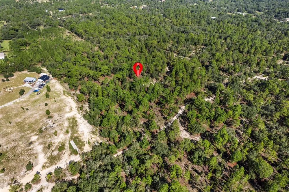 10686 STATUE POINT Dunnellon, FL 34433