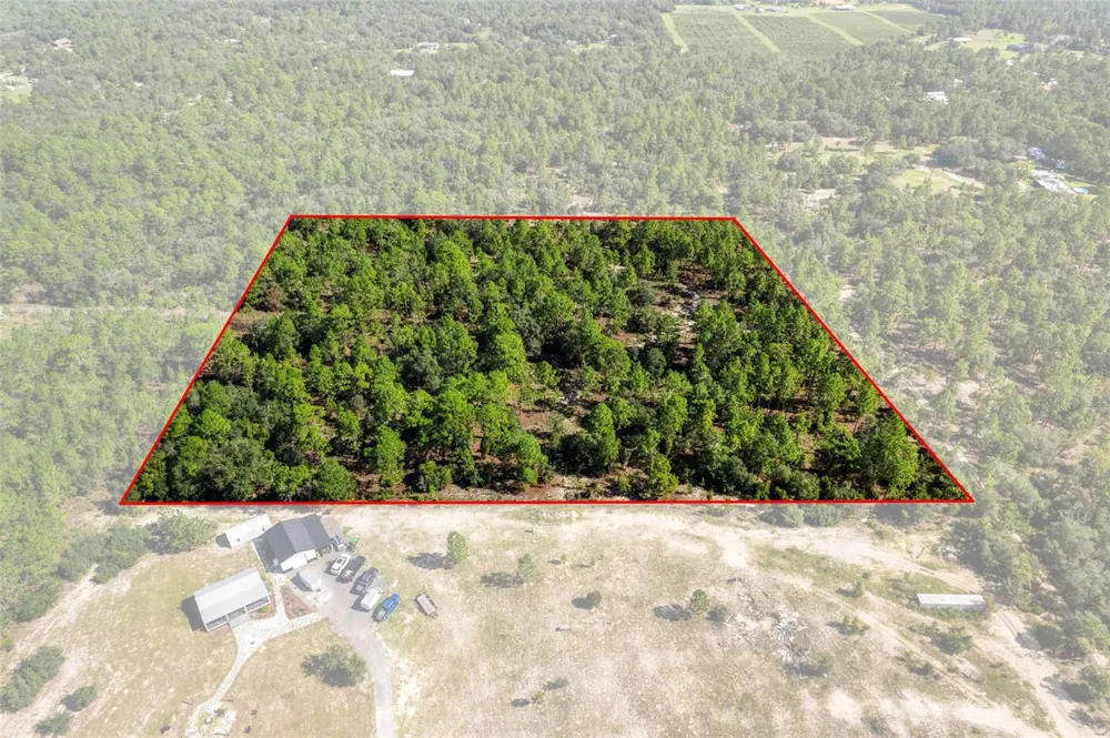 10686 STATUE POINT Dunnellon, FL 34433