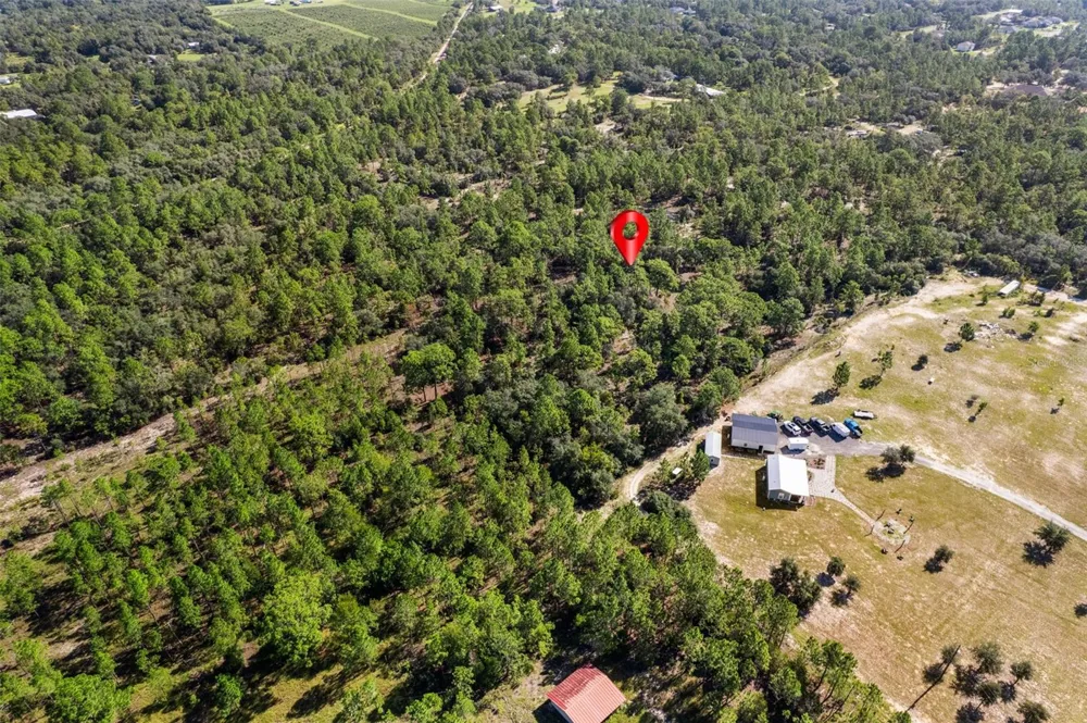10686 STATUE POINT Dunnellon, FL 34433
