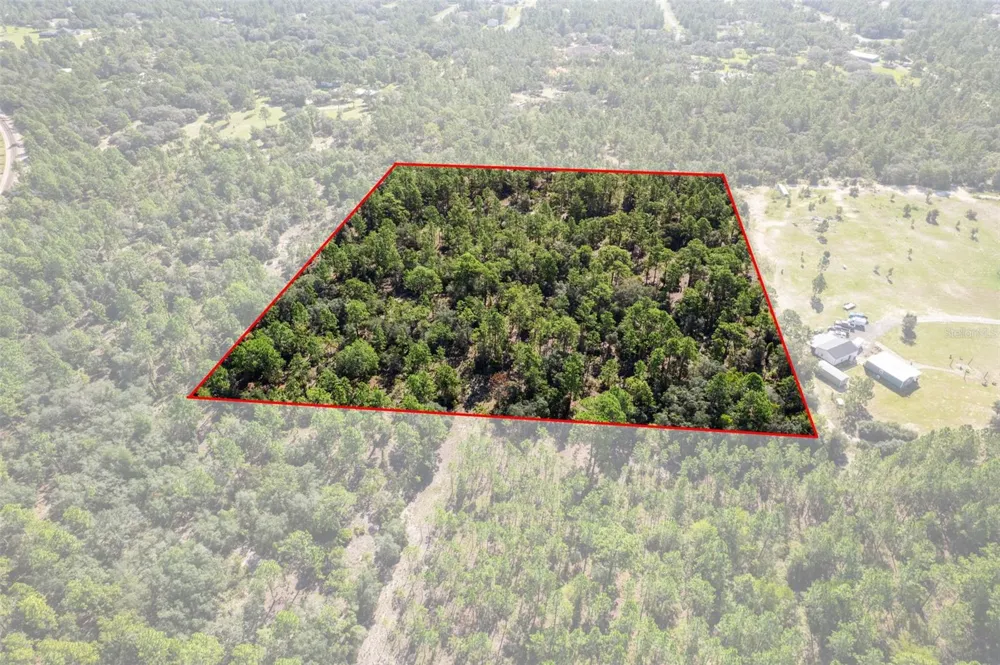10686 STATUE POINT Dunnellon, FL 34433