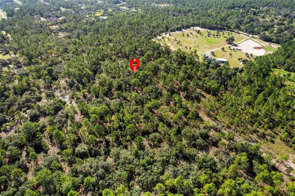 10686 STATUE POINT Dunnellon, FL 34433