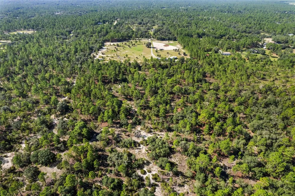 10686 STATUE POINT Dunnellon, FL 34433