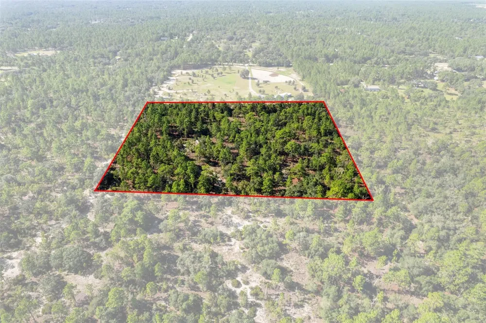 10686 STATUE POINT Dunnellon, FL 34433