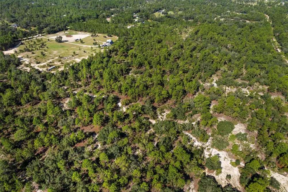 10686 STATUE POINT Dunnellon, FL 34433