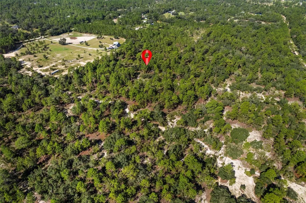 10686 STATUE POINT Dunnellon, FL 34433