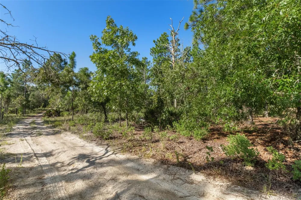 10686 STATUE POINT Dunnellon, FL 34433