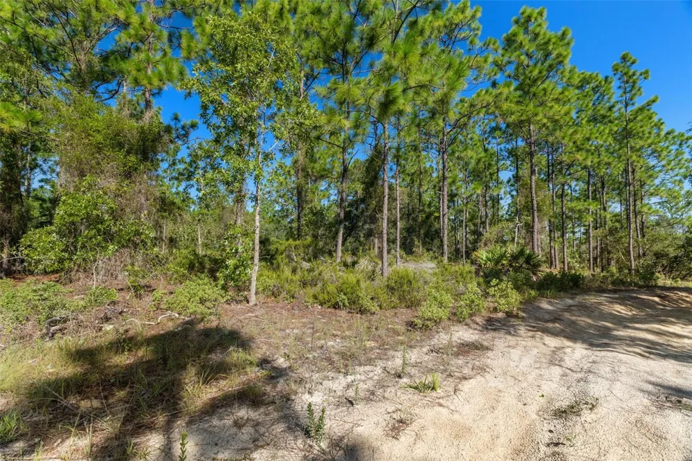 10686 STATUE POINT Dunnellon, FL 34433