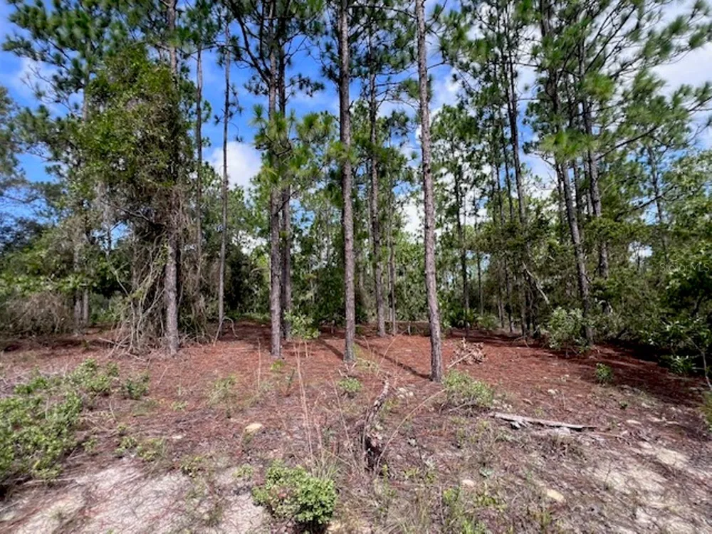 10686 STATUE POINT Dunnellon, FL 34433
