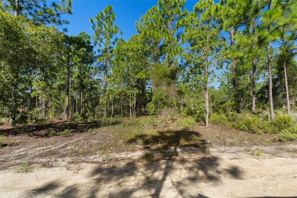 10686 STATUE POINT Dunnellon, FL 34433