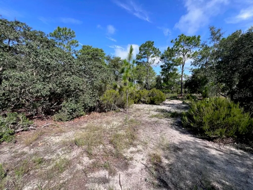 10686 STATUE POINT Dunnellon, FL 34433