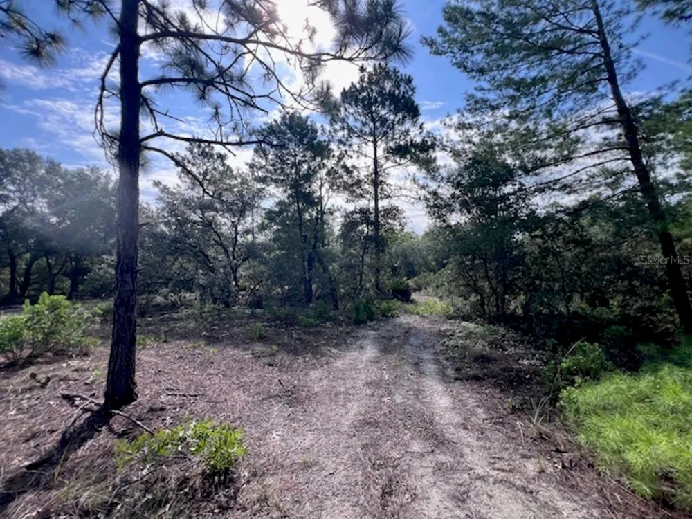10686 STATUE POINT Dunnellon, FL 34433