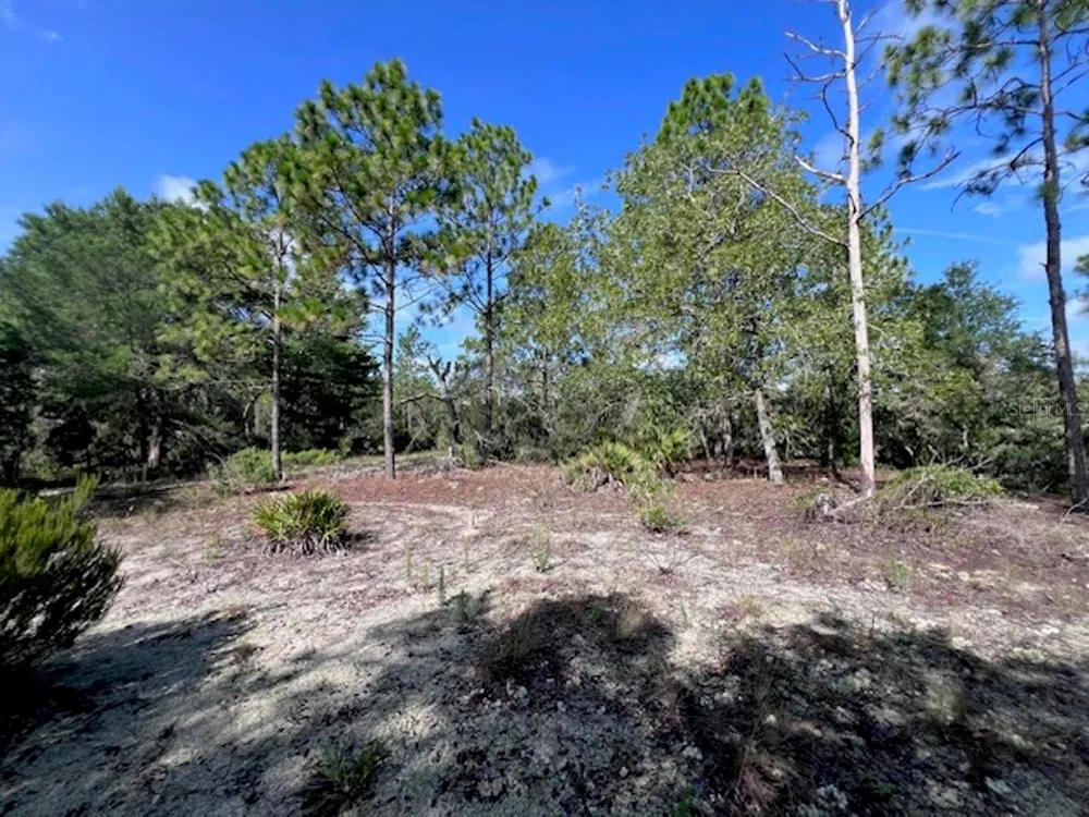10686 STATUE POINT Dunnellon, FL 34433