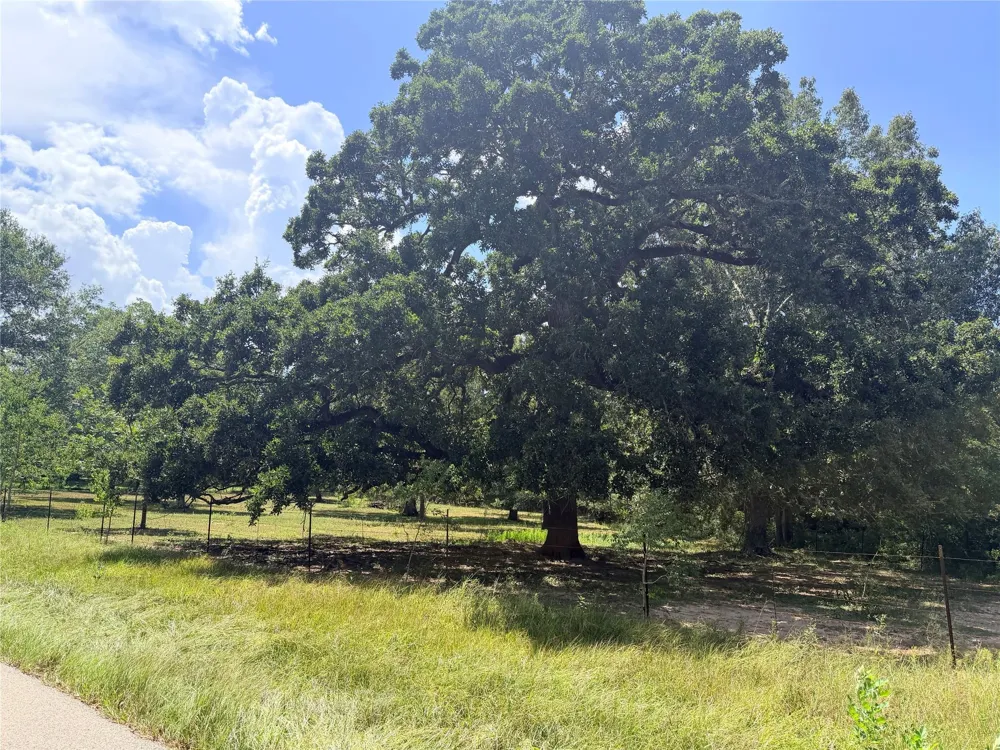 Cr-2094 Liberty, TX 77575