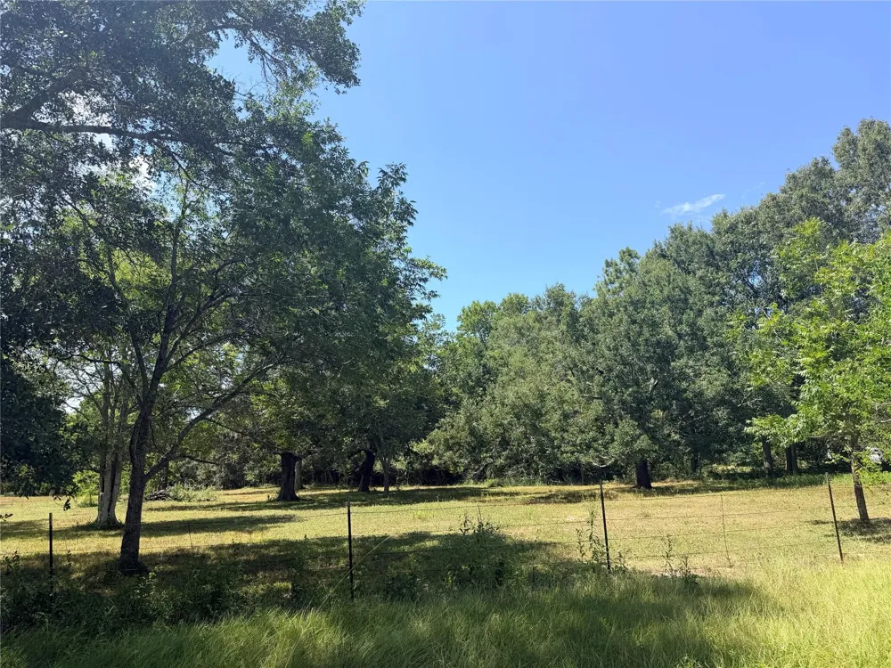 Cr-2094 Liberty, TX 77575