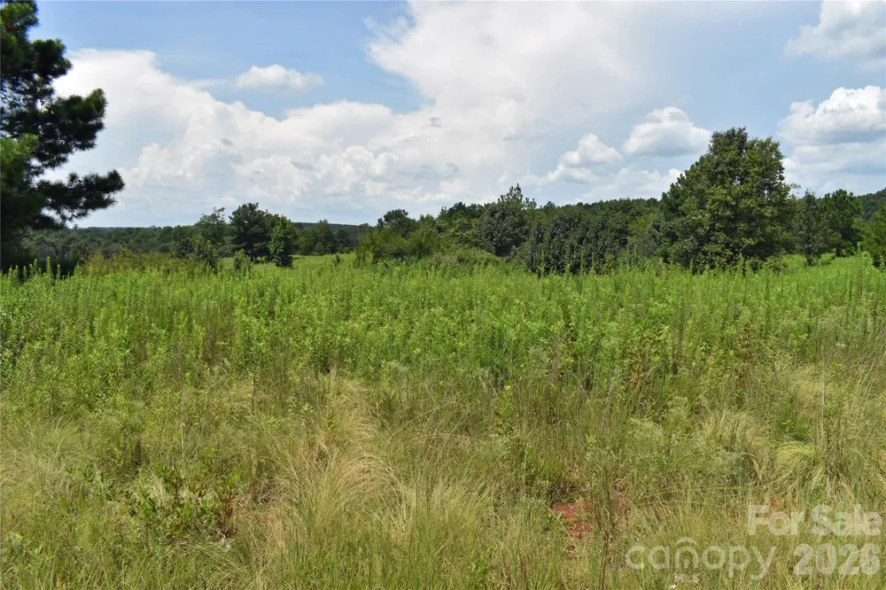 59 Malden Court Crouse, NC 28033