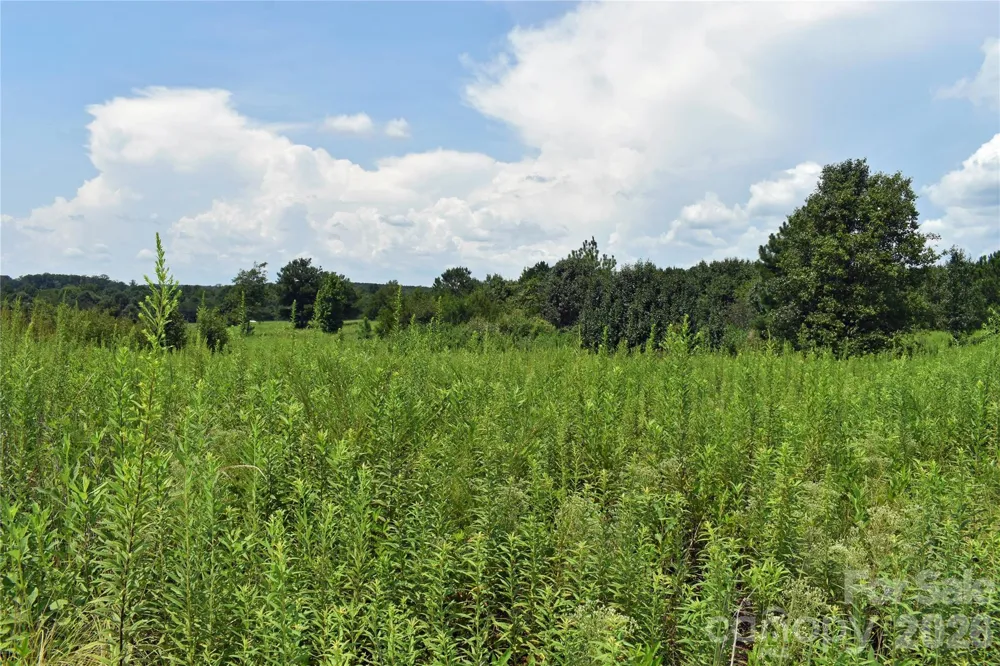 59 Malden Court Crouse, NC 28033