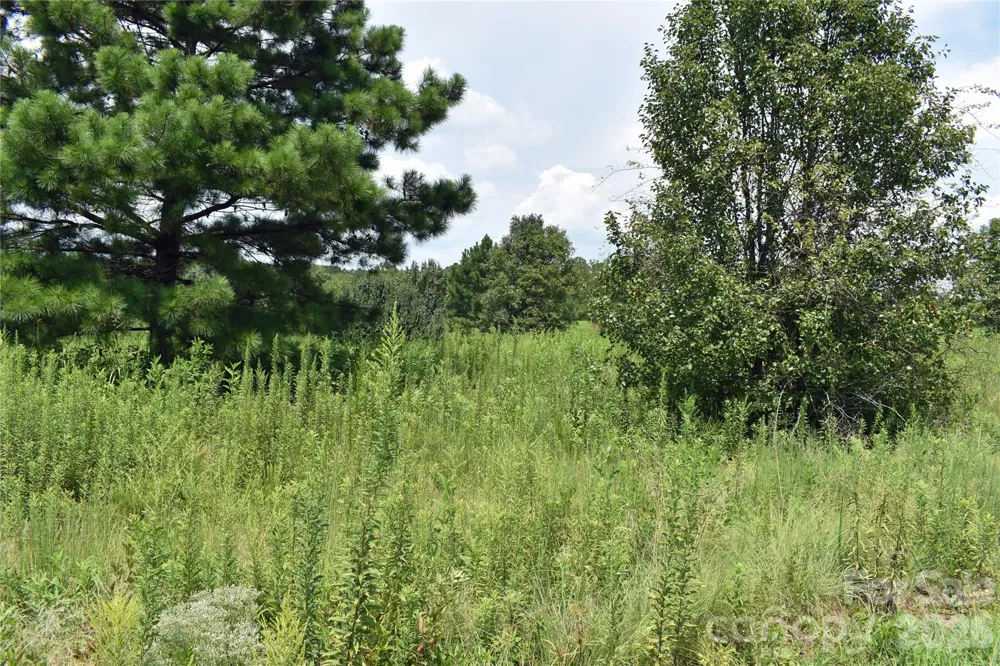 59 Malden Court Crouse, NC 28033