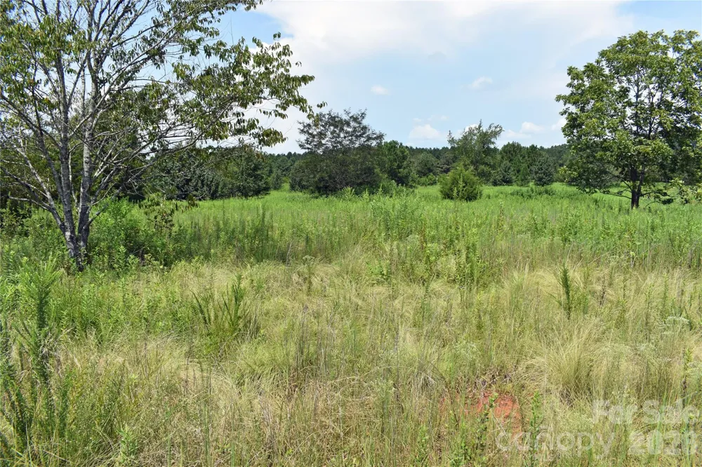 60 Malden Court Crouse, NC 28033